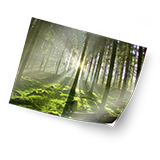 Foto auf Klebefolie (matt) 60�40 cm