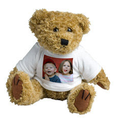 Teddy