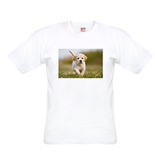 Kinder T-Shirt