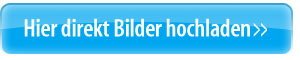 hier direkt bilder hochladen >>