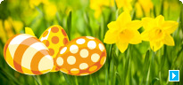 Lente-Voordeelaanbiedingen 2010