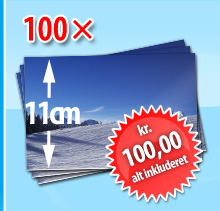 100 x 11cm format kun kr. 100 inkl. fragt og ekspedition