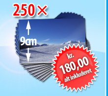 250 x 9cm format kun kr. 180 inkl. fragt og ekspedition
