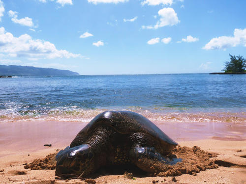 Hawaii Rundreise