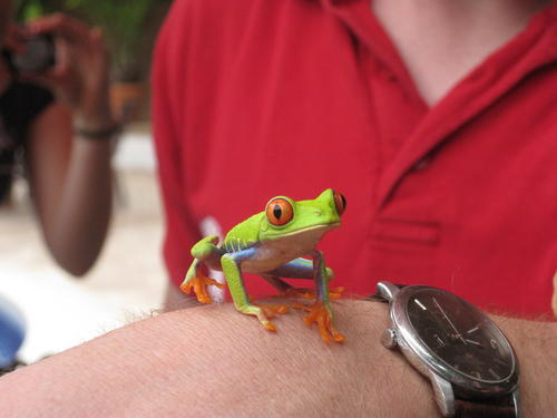 Costa Rica