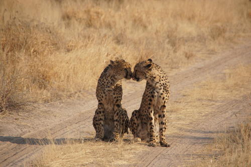 Namibia