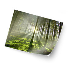 Foto Auf Klebefolie 50 40 Cm Bei Pixum Bestellen