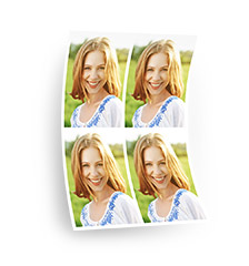 Brieftaschen-Bild
